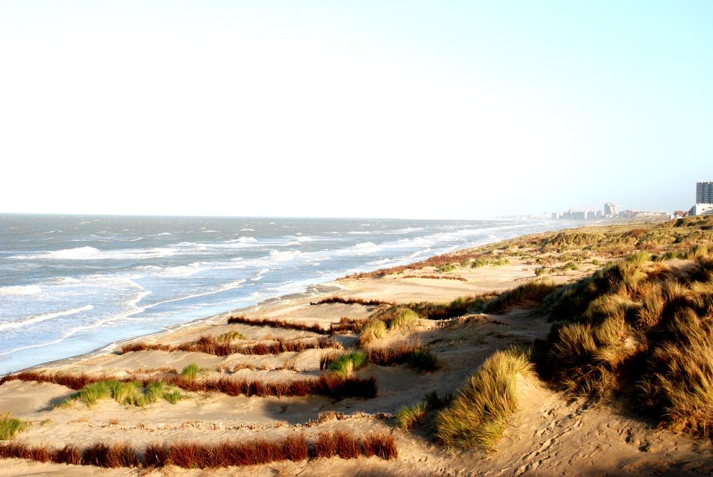 Chalets Eureka & Bloemenduin Koksijde Eksteriør bilde