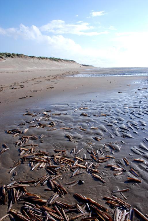Chalets Eureka & Bloemenduin Koksijde Eksteriør bilde